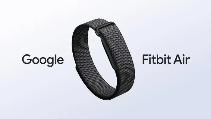 Google Fitbit