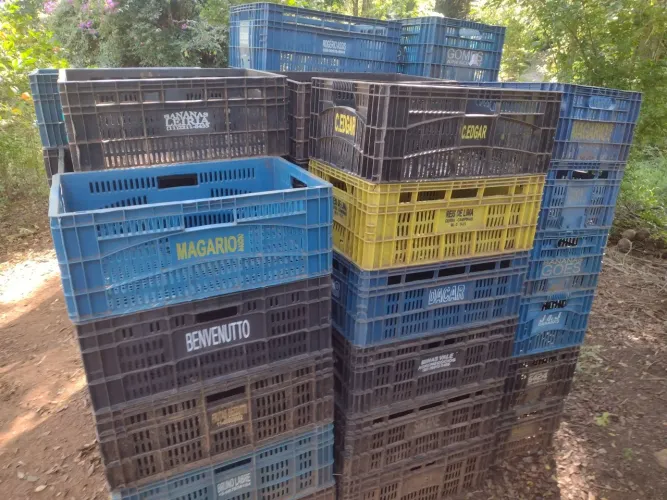 Caixas plásticas Hortifruti VENDO 