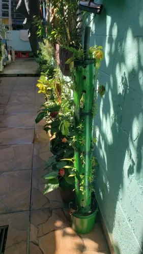 Torre de flores pra aptos