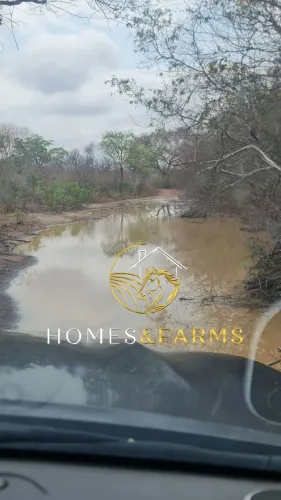 Fazenda 26.000 ha à Venda em Eliseu Martins PI. Chapada para Soja