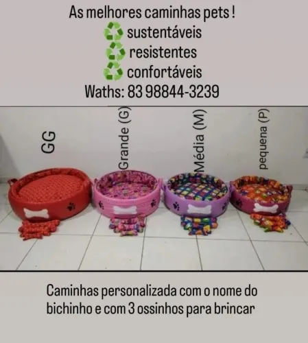 As melhores caminhas pets sustentáveis