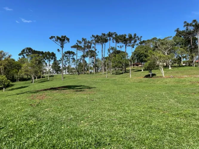 Terreno à venda em Campo Alegre-SC, bairro Bateias de Baixo, com 15.000m² de área!