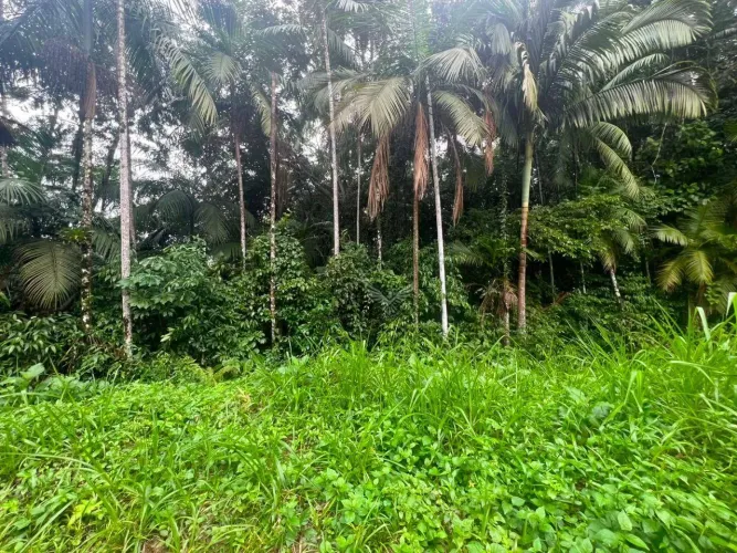 Terreno para chácara no bairro Testo Salto