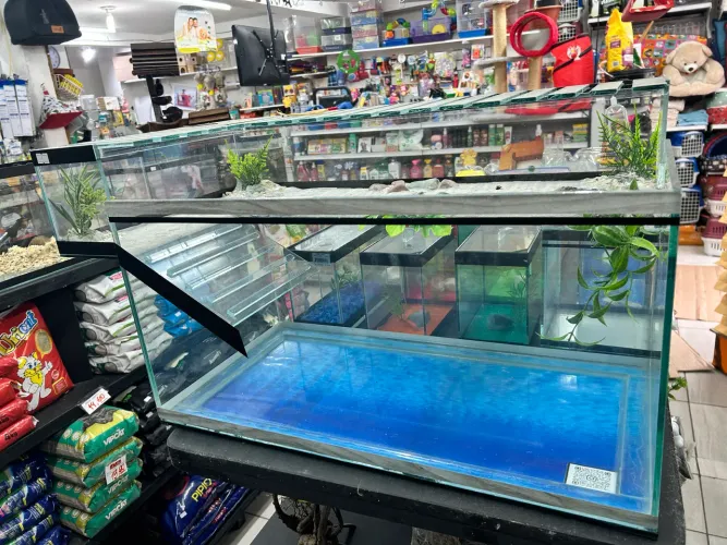 Aquaterrario para tartaruga