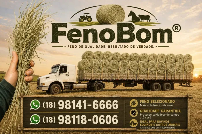 FENO DICTYONEURA