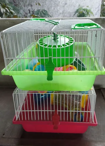 Gaiolas para Hamster (Bragança) - Pouquíssimo Usadas + Acessórios Intactos
