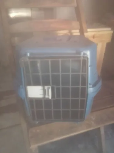 Caixinha pequena pra pet