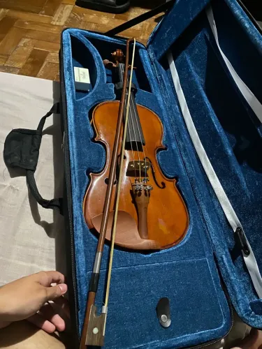 Violino