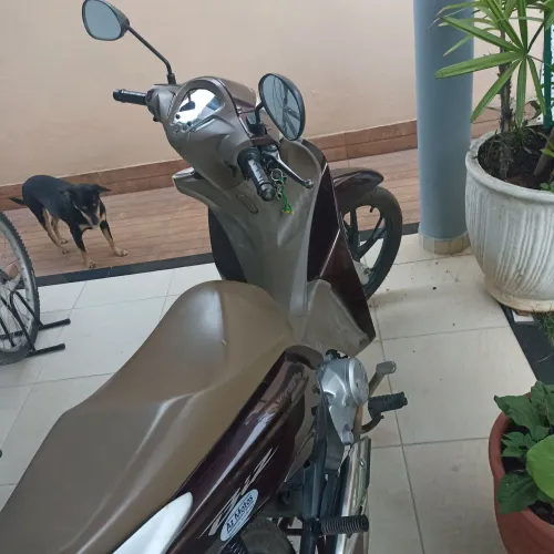 Biz honda