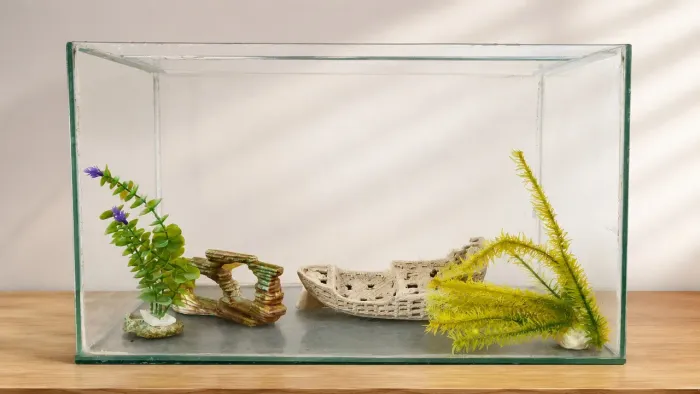Aquário completo 60L