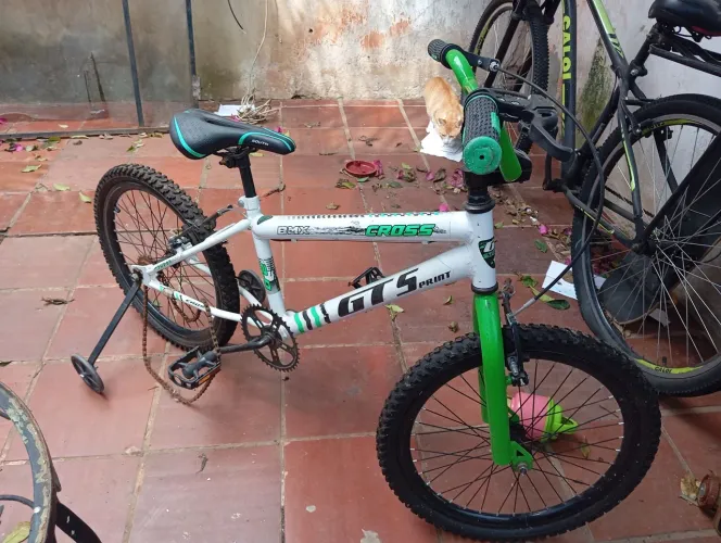 Bicicleta
