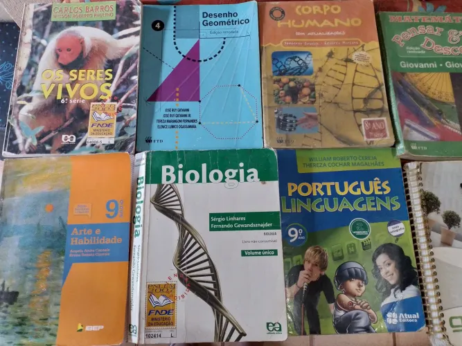 Livros Didáticos para o Ensino Fundamental e Médio - Diversas Disciplinas