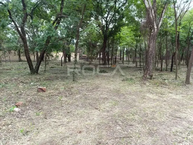 Terreno à venda no Condomínio Recreio Internacional em Ribeirão Preto.