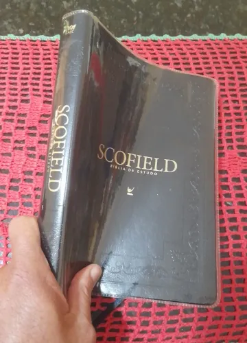 Bíblia de estudo scofield (Exelelente)