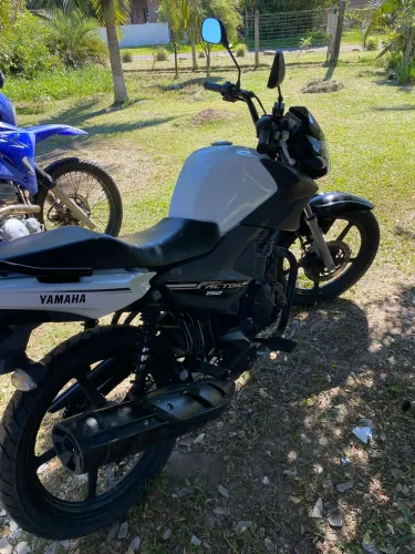 FACTOR 150 2020