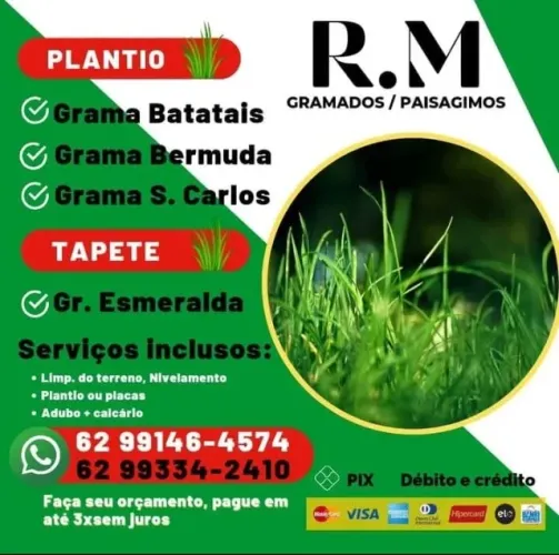 855 Metros de Grama Esmeralda Alta Qualidade 855 Metros de Grama Esmeralda Alta Qualidade