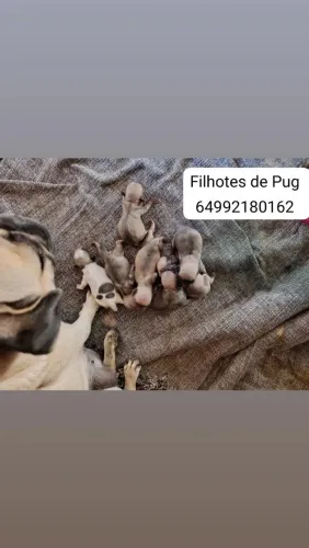 Vende se 