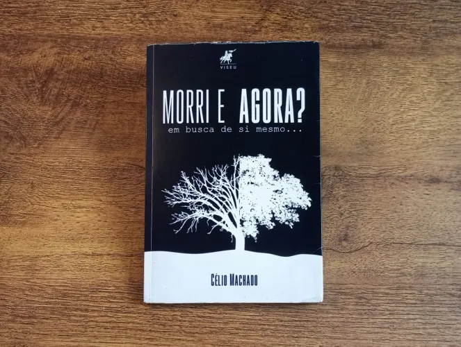 Livro Morri e Agora? Em Busca de Si Mesmo...(Célio Machado) SEMINOVO