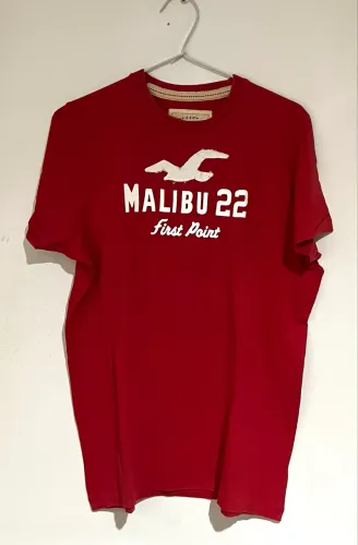 Camiseta masculina Hollister G