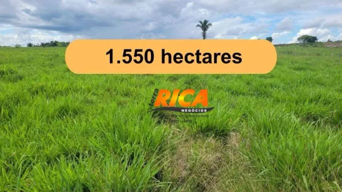 Fazenda à venda, 15500000 m² por R$ 41.600.000,00 - Zona Rural - Nova Mamoré/RO