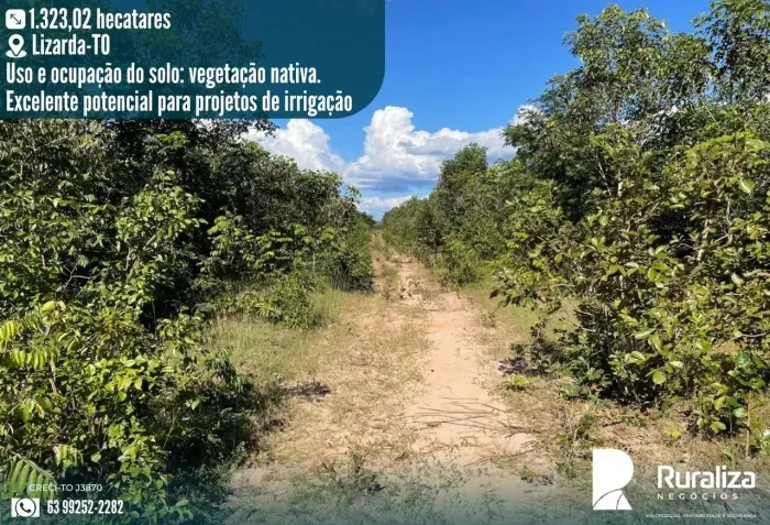 Área Rural à Venda | 1.400 ha | Vegetação Nativa | Potencial para Irrigação