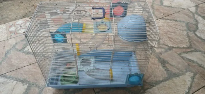 Gaiola de hamster