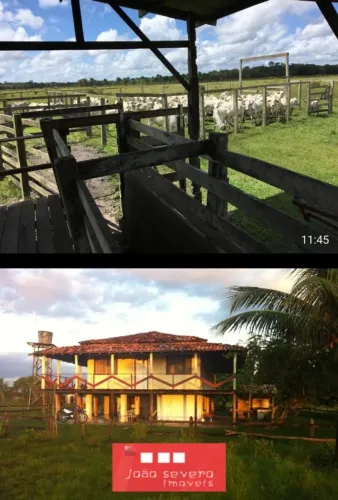 Fazenda para Venda em Muaná