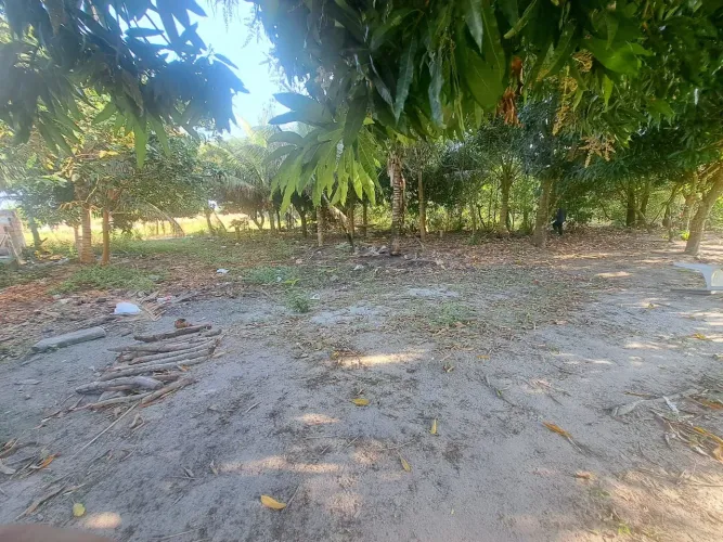 2 terrenos em Mucuri Bahia