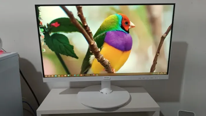 Monitor