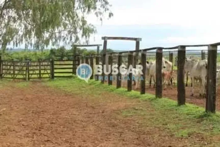 Fazenda em Barreiras