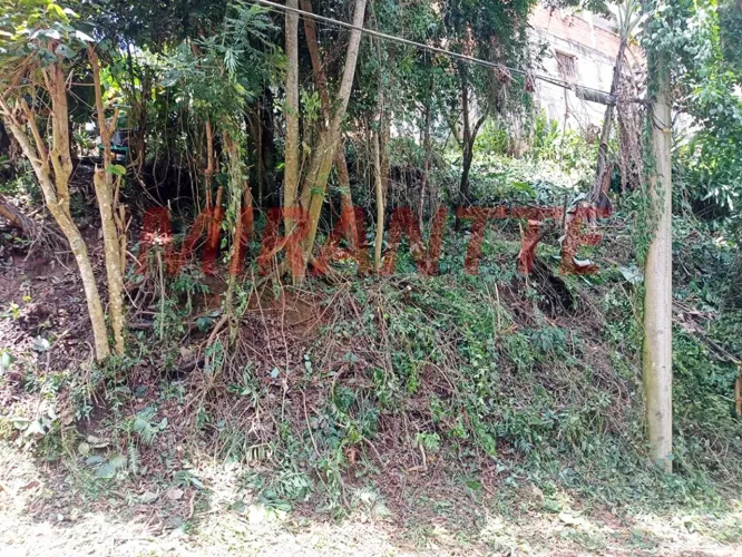 Terreno em Jardim Samambaia - Mairiporã
