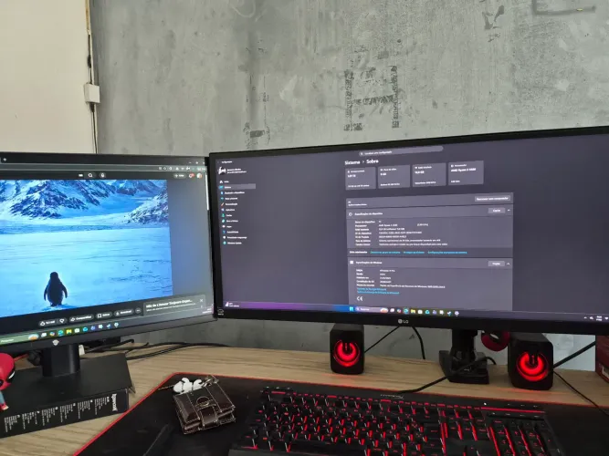 PC gamer