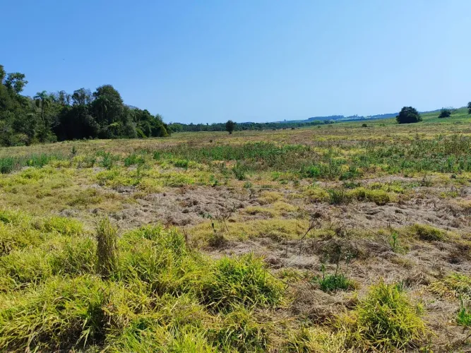 Sítio à venda em Itapetininga-SP: 1 quarto, 1 banheiro e 992.200,00 m² de área na Área Rur