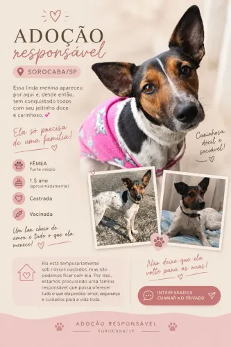 Doa-se cachorrinha