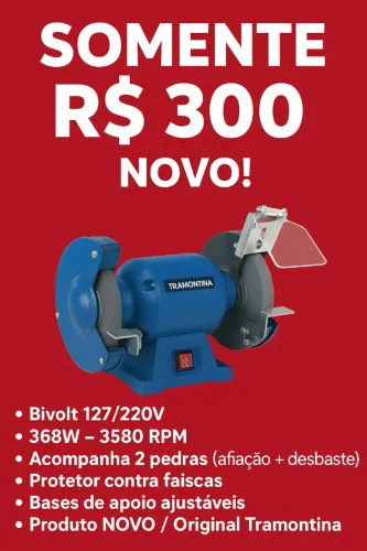 Motor esmeril 