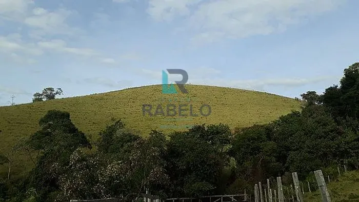 FAZENDA PARA PLANTIO DE OLIVEIRAS EM MARIA DA FÉ-MG