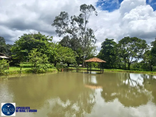 Chácara à Venda em Goiás Velho/GO  10 Alqueires | Rica em Água