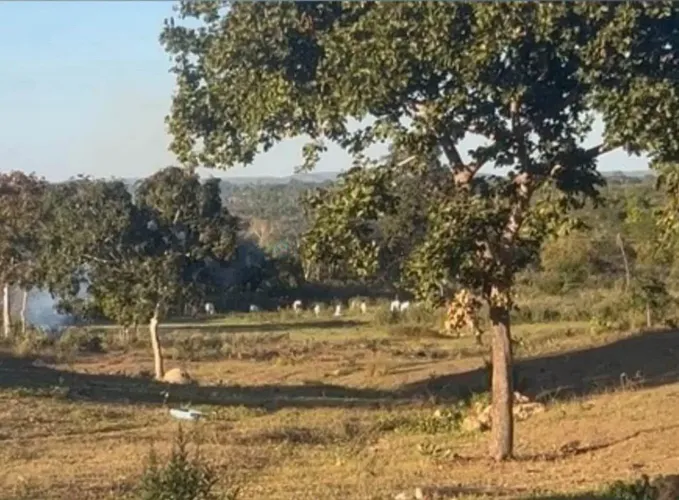 Vendo sítio de 17 hectares | região de Poconé/MT