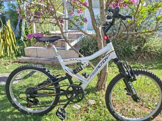 Bicicleta Aro 20