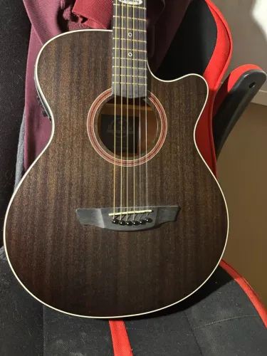 Violão Strinberg SA200C TOS