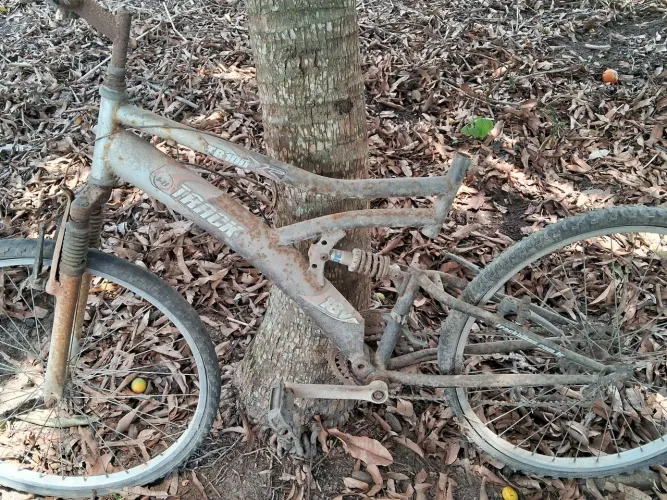 Bicicleta