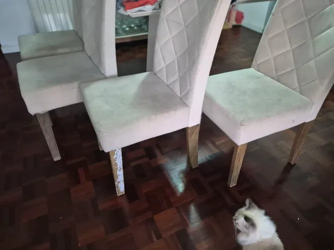 Doação de 4 cadeiras de jantar para retirada no bairro de Fátima