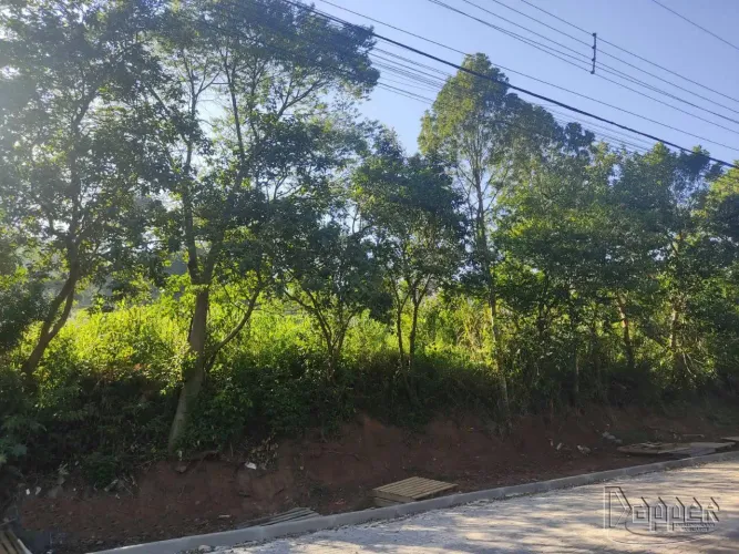 Terreno à Venda no Bairro Floresta com Área de Lazer Disponível para Construção