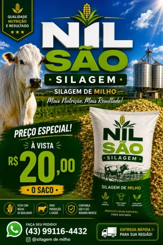  Silagem de Milho Ensacada - Direto do Produtor