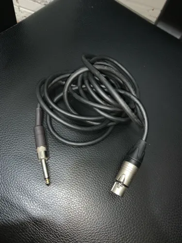 CABO XLR P10