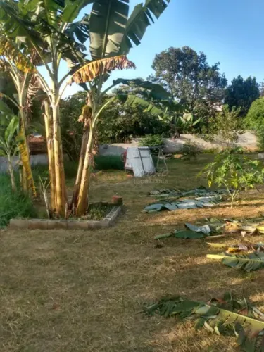 Lote / Terreno para Venda