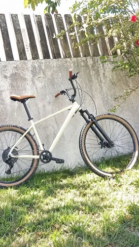 Bicicleta
