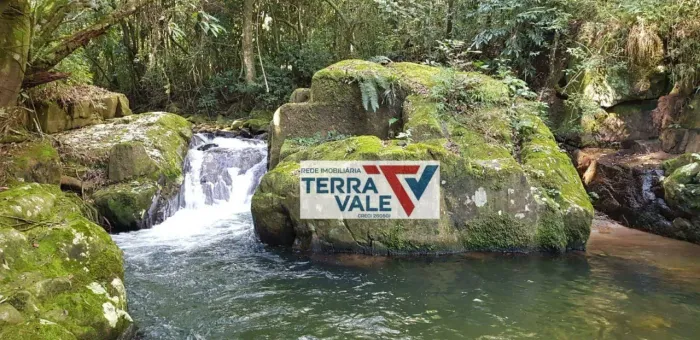 Sítio com 2 dormitórios à venda, 23,86Ha por R$ 450.000 - Macacos - Silveiras/SP