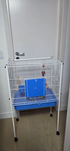 Viveiro para aves em geral