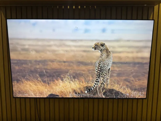 Televisão 75 polegadas
